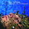 Blue October image